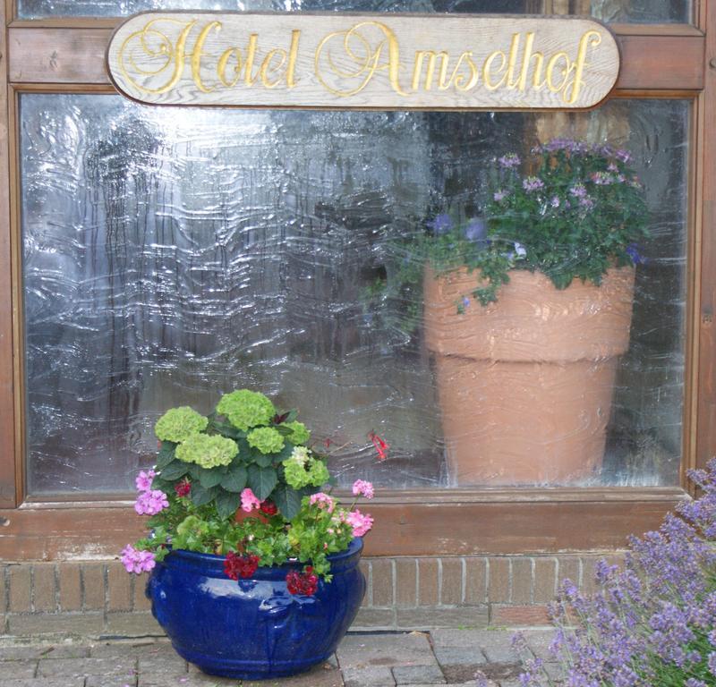 Hotel Amselhof Bispingen Εξωτερικό φωτογραφία
